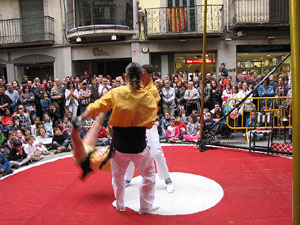 Espectacle de circ a c&agrave;rrec de CIRCO LOS