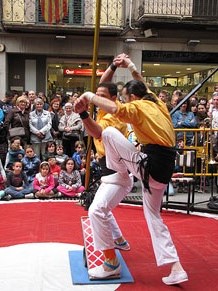 Espectacle de circ a c&agrave;rrec de CIRCO LOS