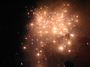 Fires de Sant Narc&iacute;s 2013. El correfoc. 25 anys dels Diables de l'Onyar