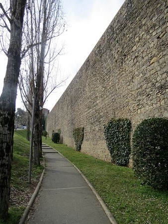 Tram de muralla des de la torre de Sant Domènec a la del Llamp