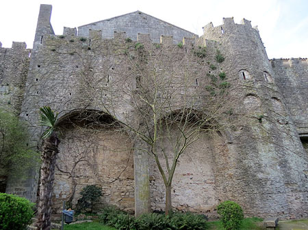 Torre Júlia i muralla carolíngia