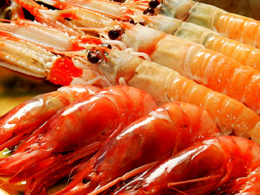 Gambes i escamarlans