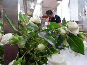 Nit de Flors i Sabors al Mercat del Lleó