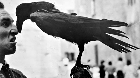 Jordi Soler amb un ocell dissecat