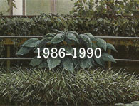 Obra 1986-1990